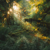 Hall of Mosses - Thumbnail View 1