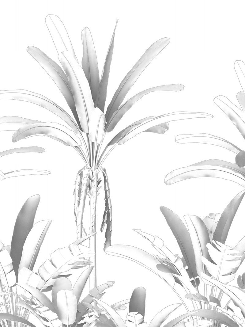 Musa - Thumbnail View 1