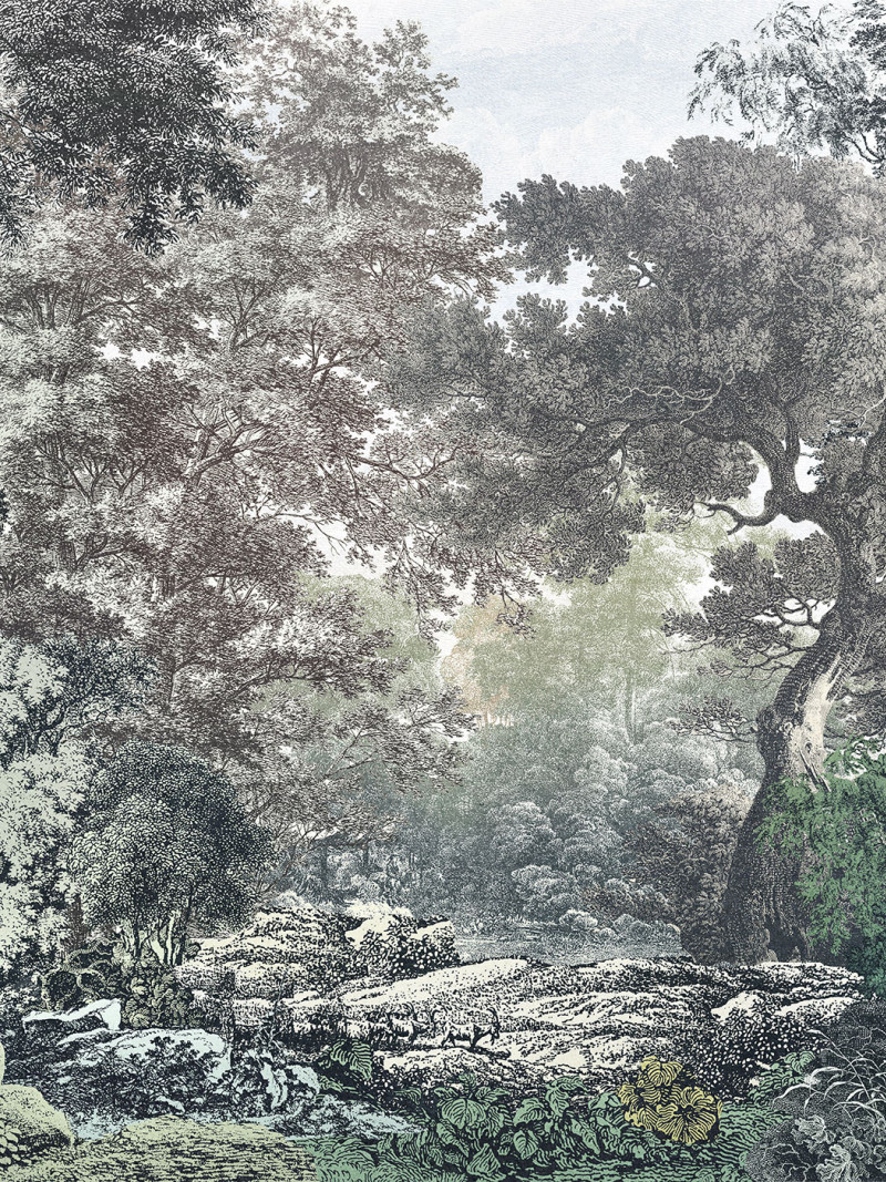 Fairytale Forest - Thumbnail View 1