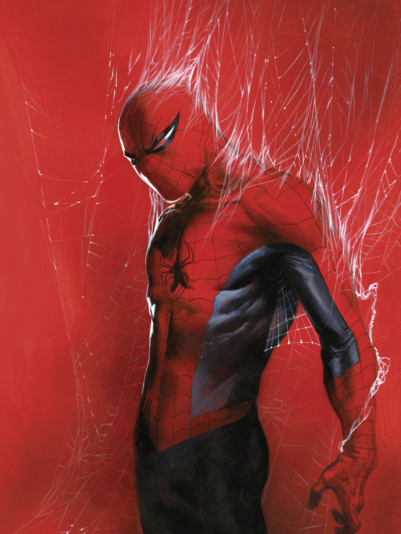 Marvel Spider-Man Through the Spider Web - Thumbnail View 1