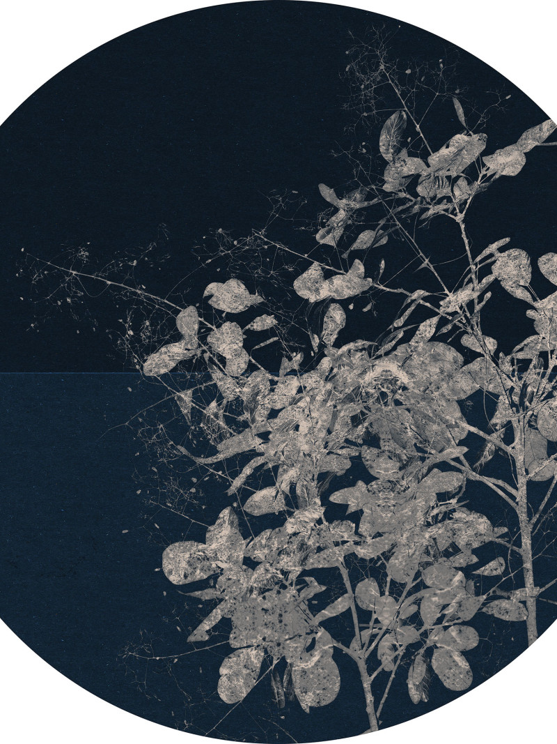 Branch - Thumbnail View 1