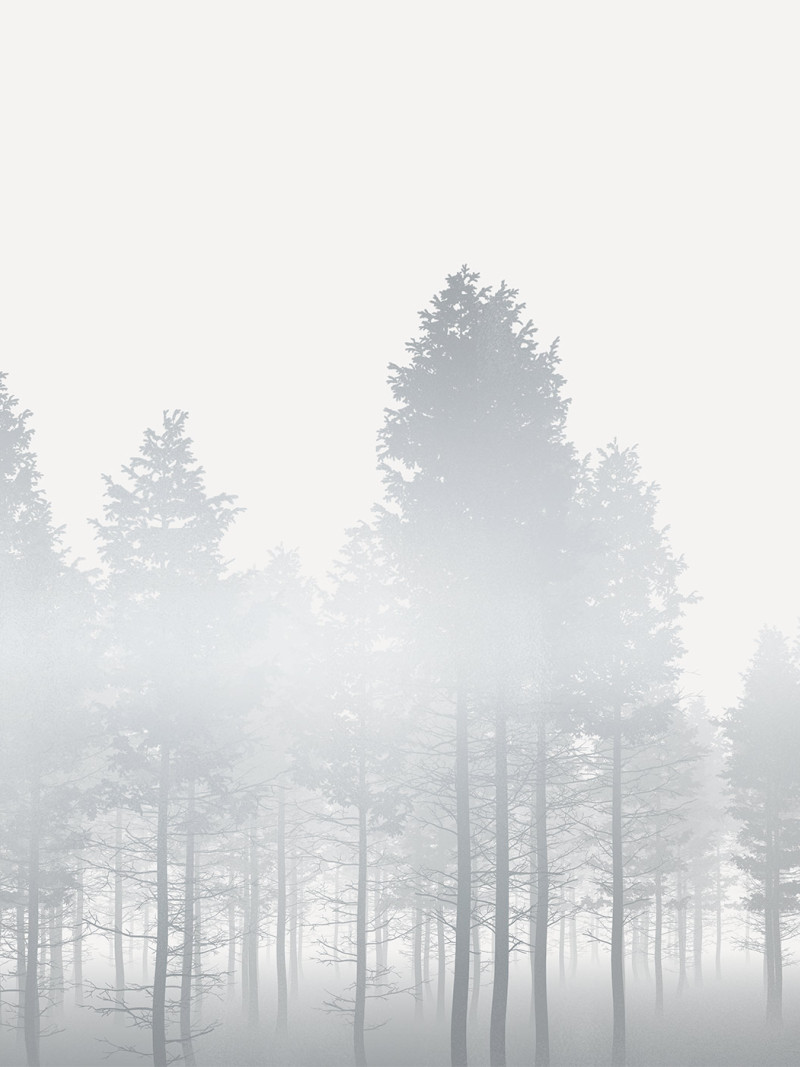 Silver Haze - Thumbnail View 1