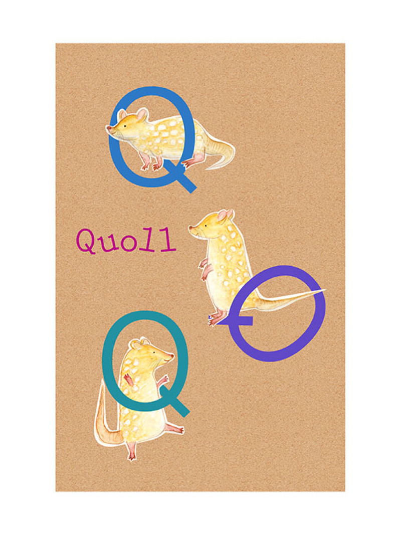 ABC Animal Q - Thumbnail View 1