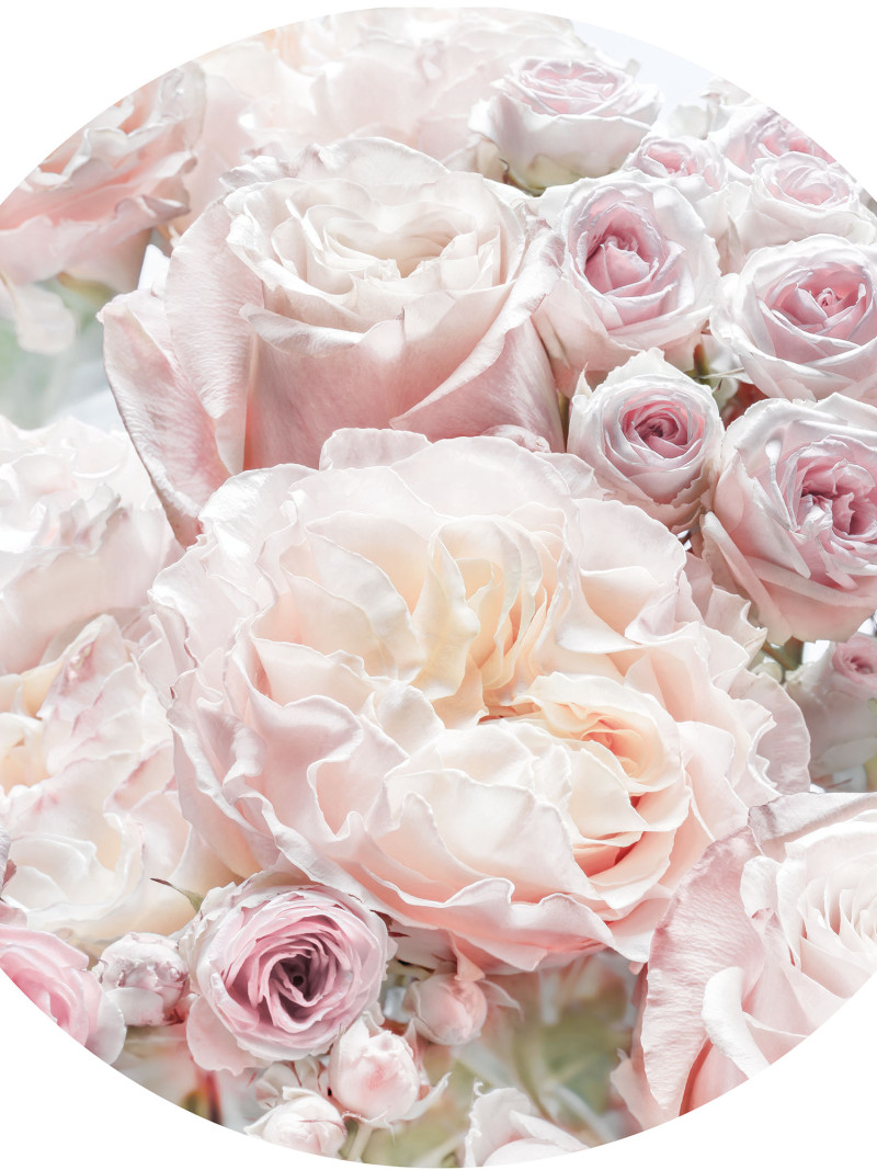Pink and Cream Roses - Thumbnail View 1