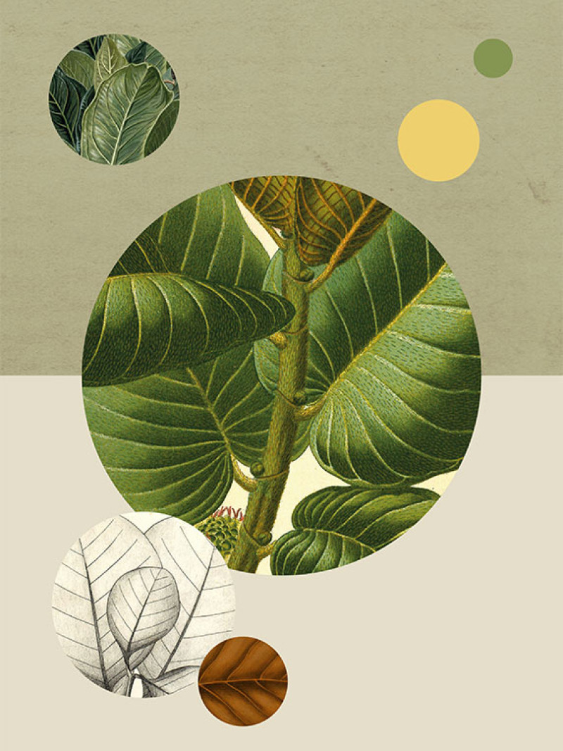 Green Structure - Thumbnail View 1