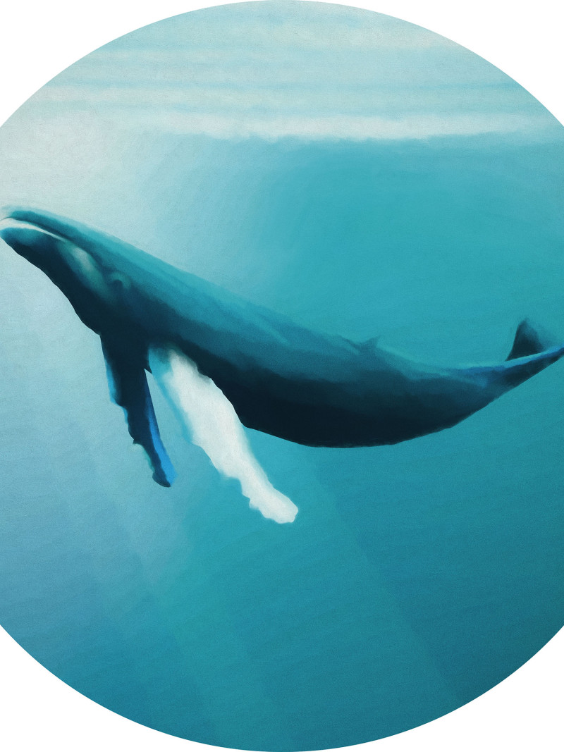 Whale Watching - Thumbnail View 1
