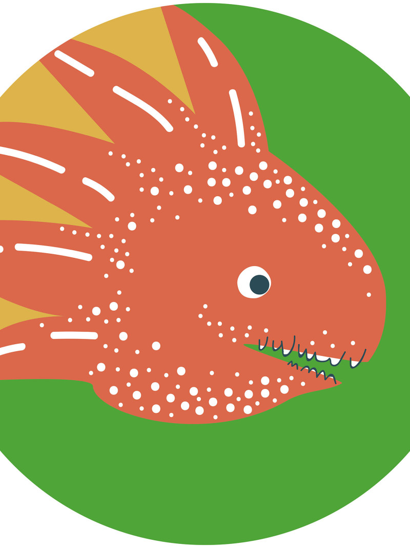 Little Dino Proto - Thumbnail View 1