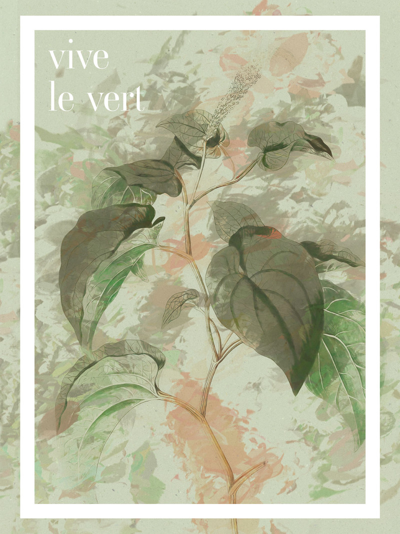 Vive le vert - Thumbnail View 1