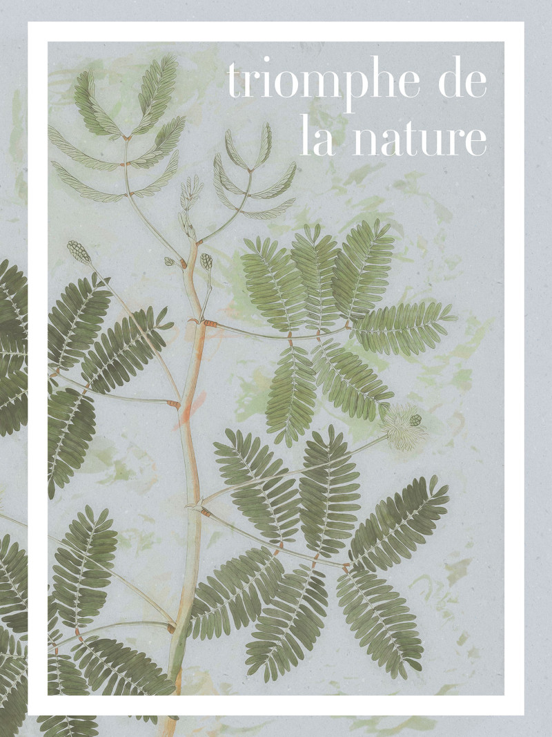 Triomphe de la nature - Thumbnail View 1
