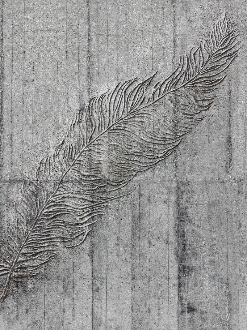 Concrete Feather - Thumbnail View 1