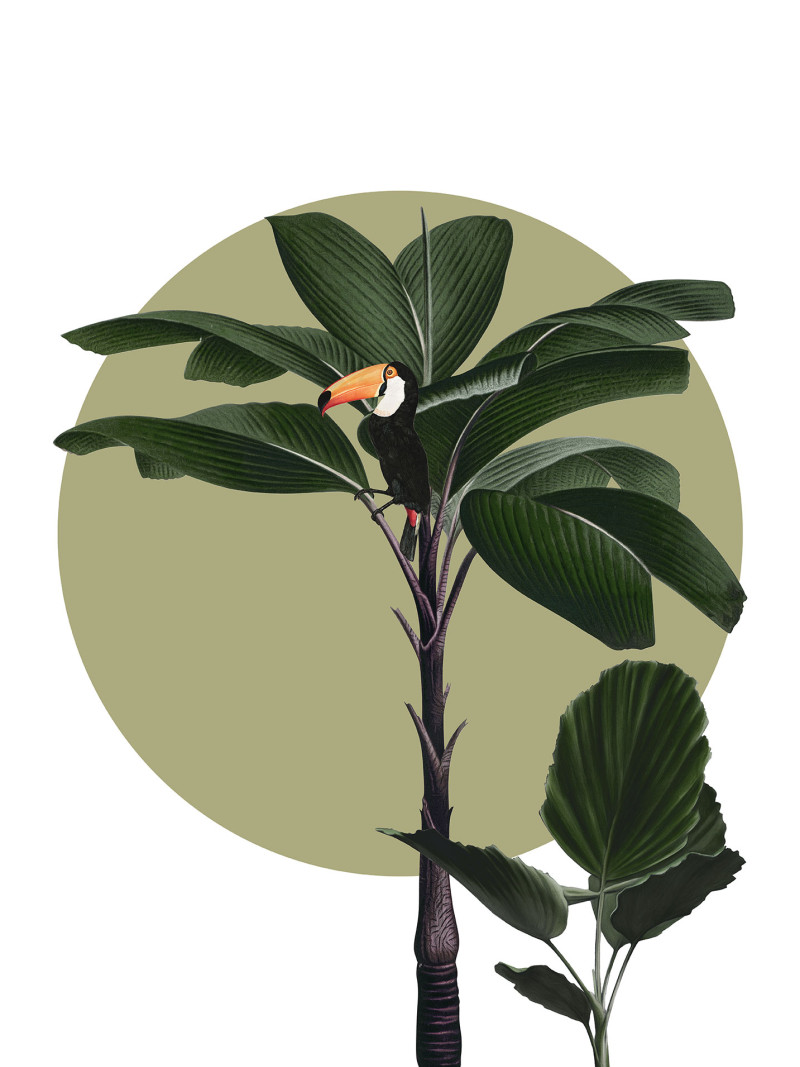 Botanical Garden Palmtree - Thumbnail View 1
