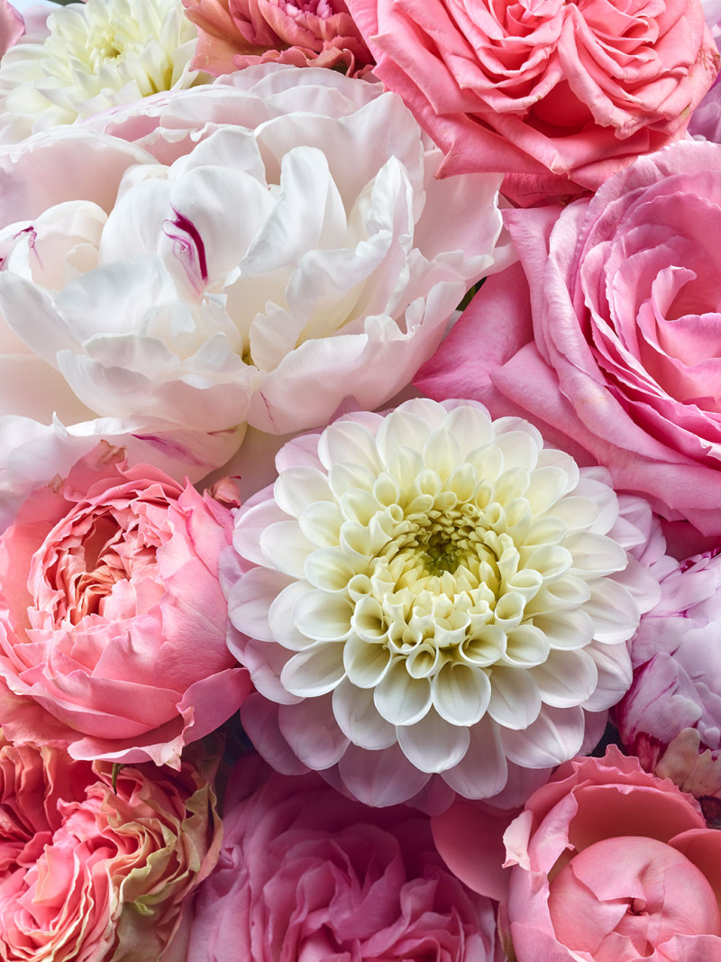 Vibrant Spring - Thumbnail View 1