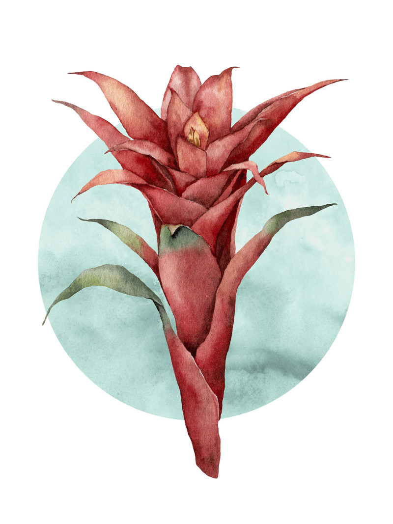 Funky Flower - Thumbnail View 1
