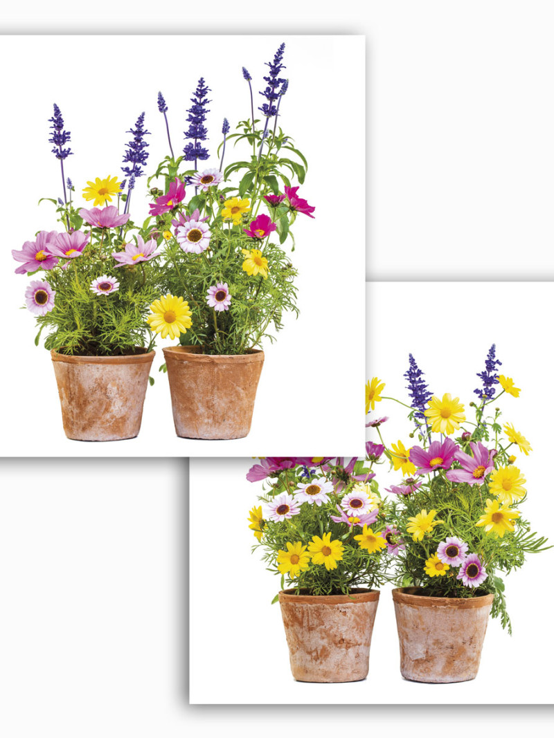 Springtime - Thumbnail View 1
