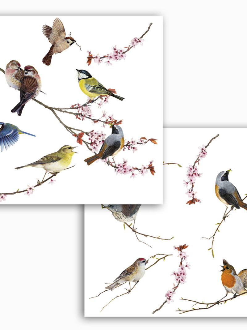 Birds - Thumbnail View 1