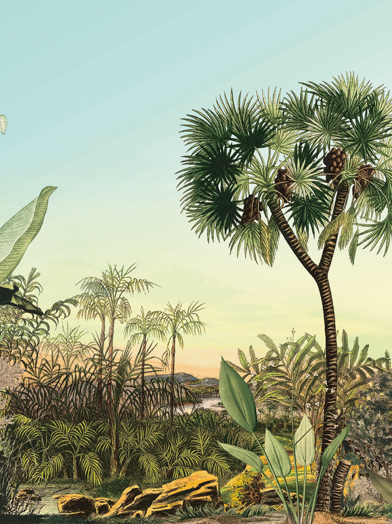 Oasis - Thumbnail View 1