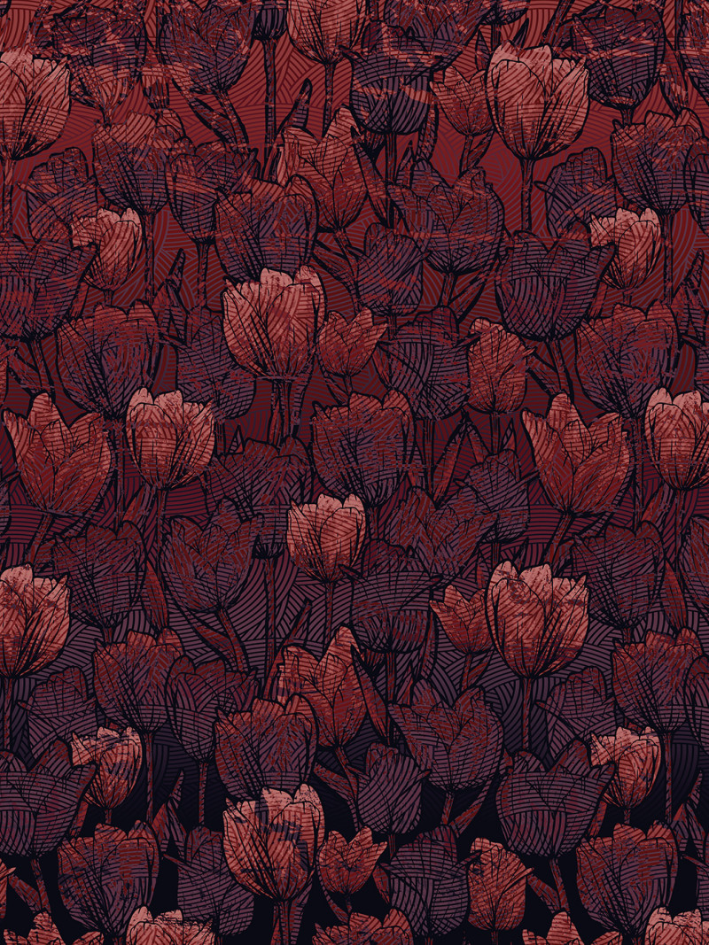 Tulipe - Thumbnail View 1