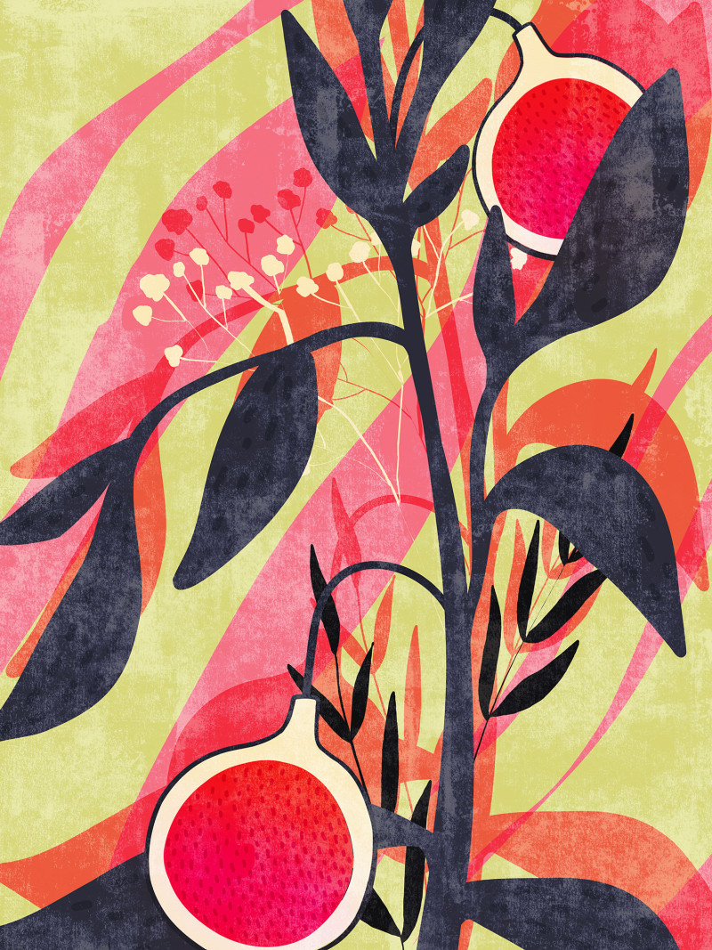 Bonbons aux Fruits - Thumbnail View 1