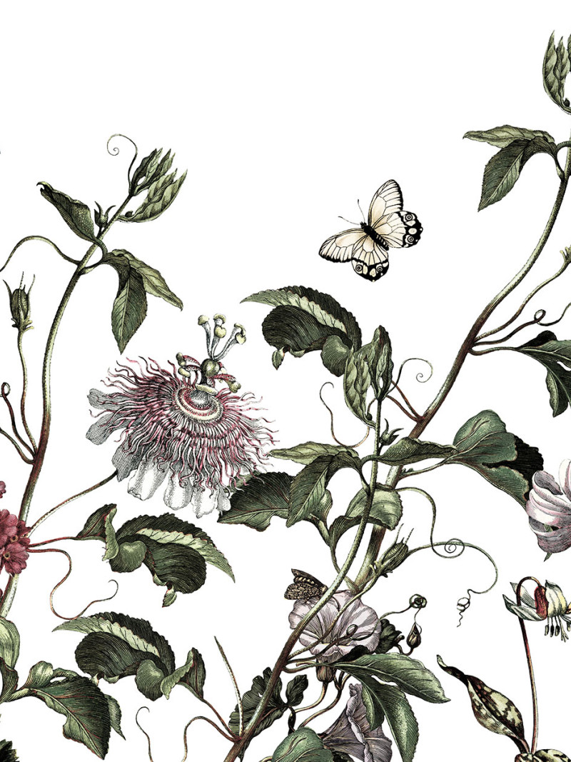 Paradis de Papillons - Thumbnail View 1