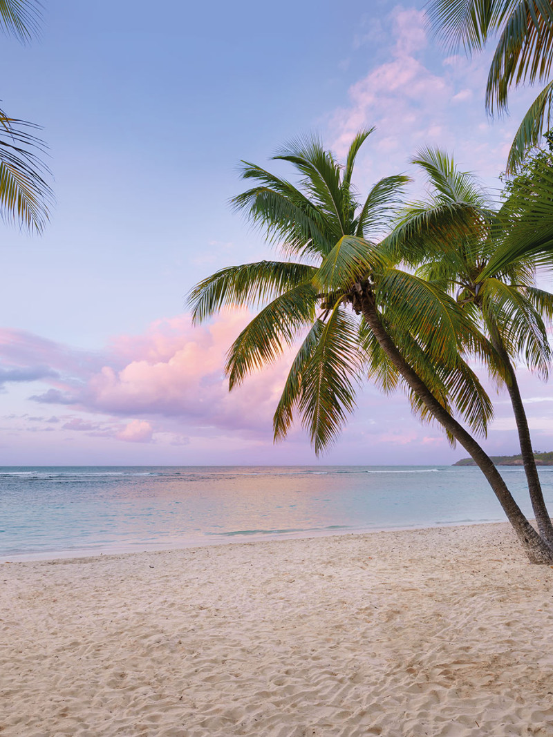 Paradise Morning - Thumbnail View 1