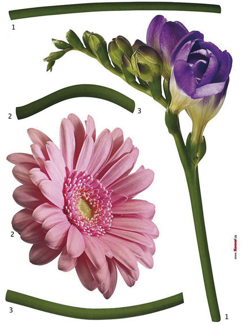 Fiore - Thumbnail View 1