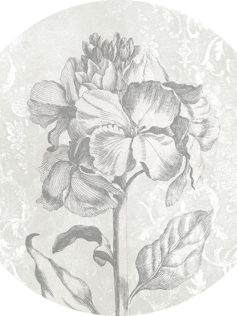 Barock Beauty - Thumbnail View 1
