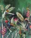 Jungle Chat - View 1