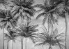 Coco de Paradis - View 1