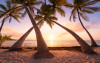 Reaching the Sun - View 1
