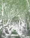 Alley Graphite - View 1