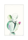Prickly Pear Watercolor