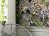 Wild Cats - View 1