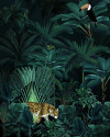 Jungle Night - View 1