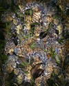 Wild Cats - View 1
