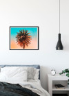 Palm Tree