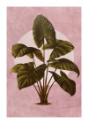 Florasia - View 1