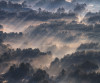 Rays - View 1