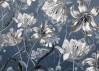Merian Blue - View 1