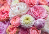 Vibrant Spring - View 1