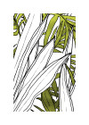 Bleached Leaves