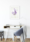 Autumn Crocus