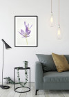Autumn Crocus