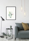 Prickly Pear Watercolor