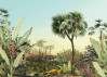 Oasis - View 1