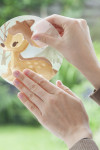 Enchanted Forest Bubbles - View 1