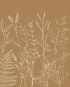 Herbs Garden - View 1