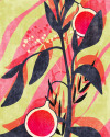 Bonbons aux Fruits - View 1