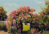 Rose Garden - View 1