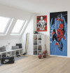 Spider-Man Rooftop-Rockin - View 1