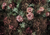 Velvet - View 1